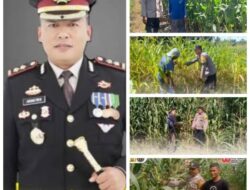 Kapolres Pasaman Barat Dorong Ketahanan Pangan Lewat Program Asta Cita: Polisi Hadir di Tengah Ladang Jagung Warga