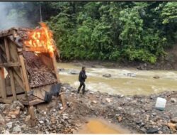 Tembus Medan Berat, Tim Terpadu Polda Sumbar Tertibkan Tambang Emas Ilegal di Pasaman