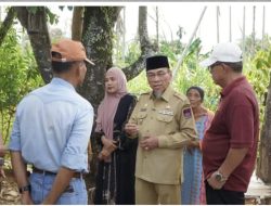 Respons Cepat Kebutuhan Warga, Wawako Padang Tinjau Jalan Lingkungan di Surau Gadang