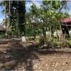 Warga Lubuk Lintah Hibahkan Tanah untuk Pelebaran Jalan, Pemko Padang Apresiasi Semangat Gotong Royong